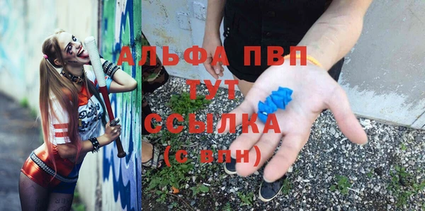 сатива Елизово