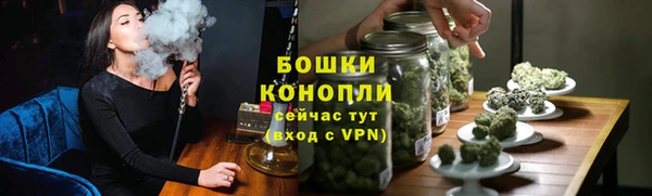 сатива Елизово