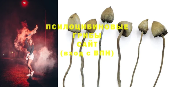 трава Елабуга
