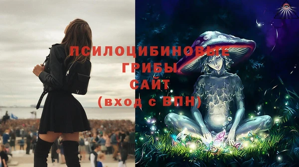 трава Елабуга