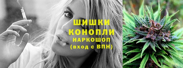 сатива Елизово