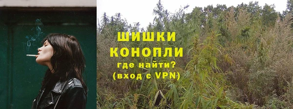сатива Елизово