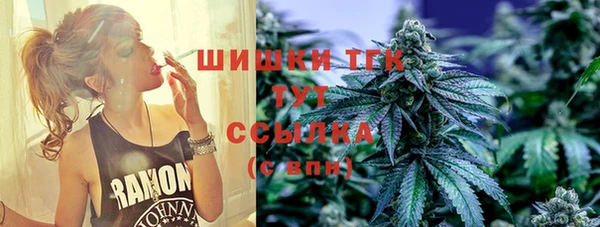 сатива Елизово