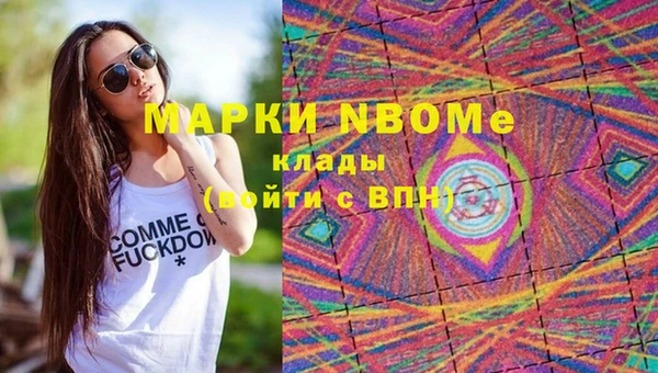 сатива Елизово