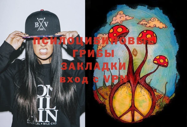 трава Елабуга