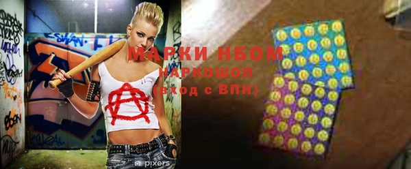 сатива Елизово