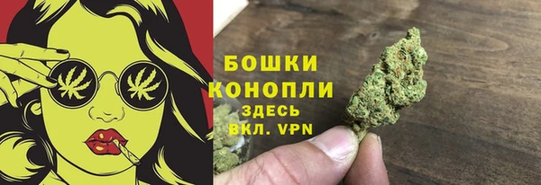 сатива Елизово