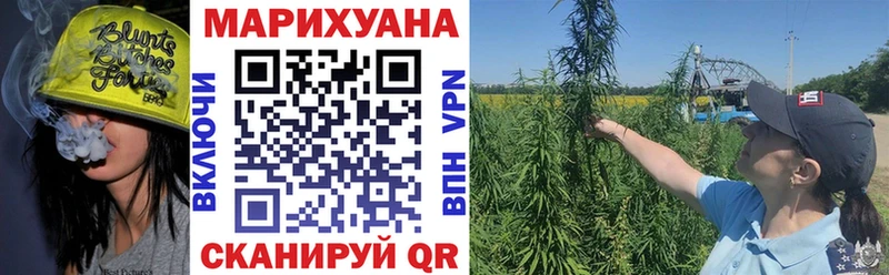 кракен маркетплейс  Калач-на-Дону  Бошки марихуана White Widow 